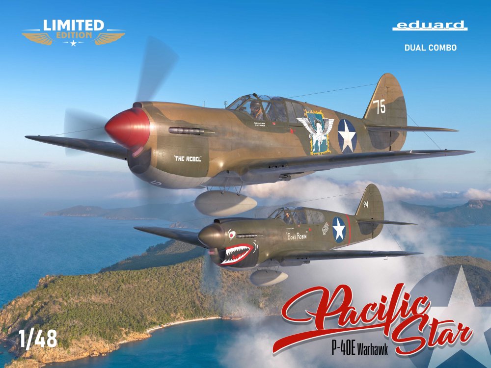 1/48 PACIFIC STAR P-40E Warhawk DUAL COMBO