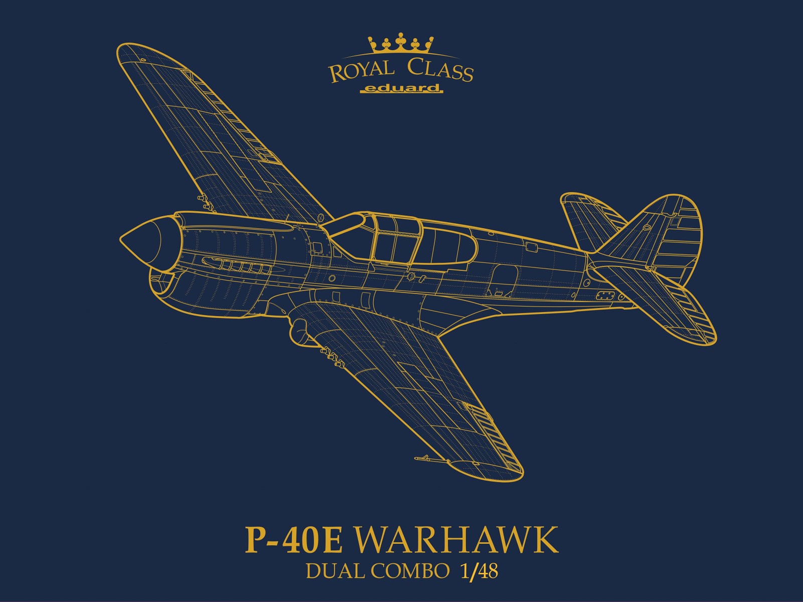 1/48 P-40E Warhawk DUAL COMBO (ROYAL CLASS)